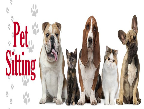  Pet Sitting Market Projected to Witness Huge Growth by 2024-2031: Swifto Inc. Holidog, Mad Paws, PetBacker, Pawshake 