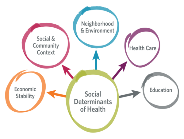 Social Determinants of Health (SDOH) Market Set for Substantial Growth 2024-2031:Orion Health, Signify Health, Cancer IQ