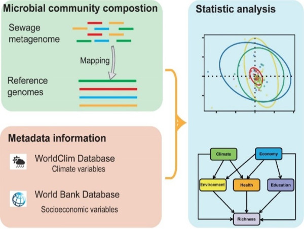  Sewage secrets: economic factors shaping our microbiome exposed 