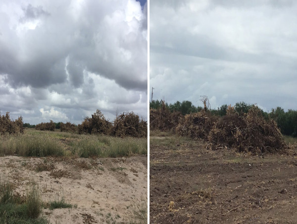  Texas Citrus Mutual Addresses Critical Water Issues in South Texas and Mexico’s Water Debt 