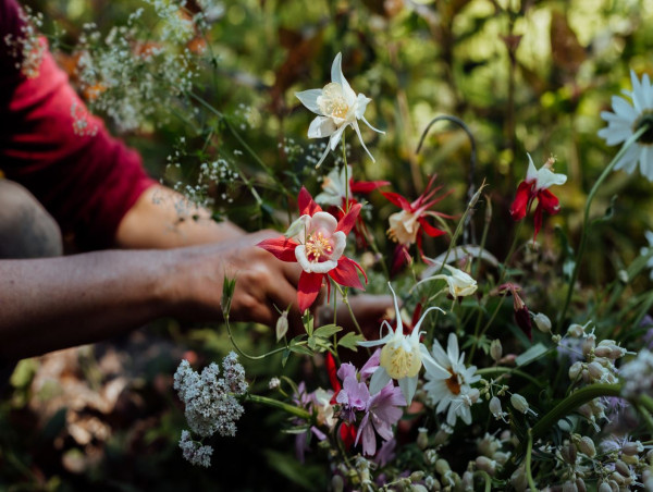 Annie Lord Artiste Fleuriste ouvre les portes de sa fermette pour une immersion Écoresponsable les 7 et 8 Septembre