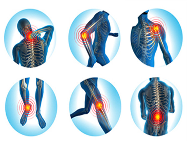  Physiotherapy Services Market Projected To Witness Substantial Growth, 2024-2031:Celtic Healthcare, Physitrack, Rehacare 