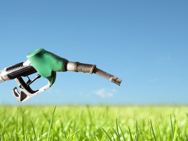 Biofuels Market Poised for 9% CAGR Growth, Projected to Reach US$ 390.62 Bn by 2031 | Archer Daniels Midland Company