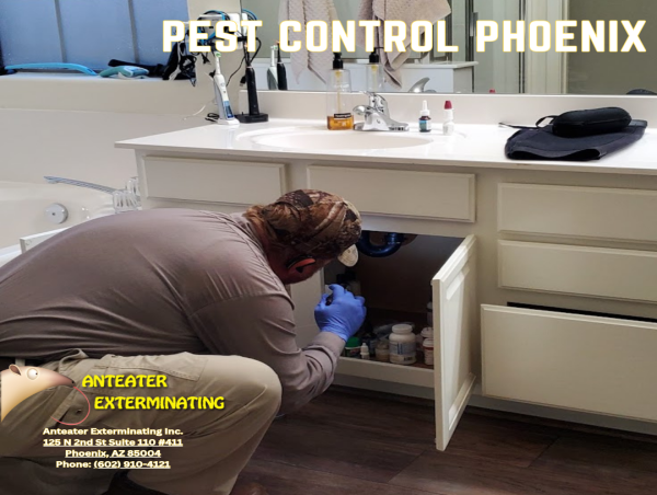  Anteater Exterminating Inc. Marks 29 Years in Pest Control Phoenix 