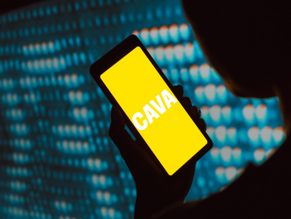 Cava expects 27% Q2 sales jump as shares hit new high: What it means for investors