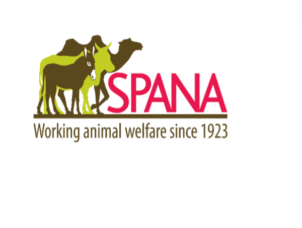 Real-life Paw Patrol: SPANA project launched to save Malawi's forgotten working dogs