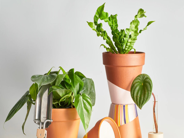  Plant Insurance Market Rapidly Gaining Traction in Key Business Segments: Allianz, Chubb Limited, AXA 