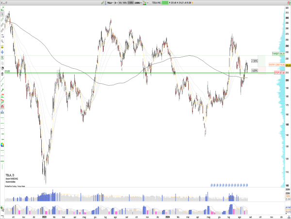  Long TSLA: Bullish Rebound from Key $200 Support Level 