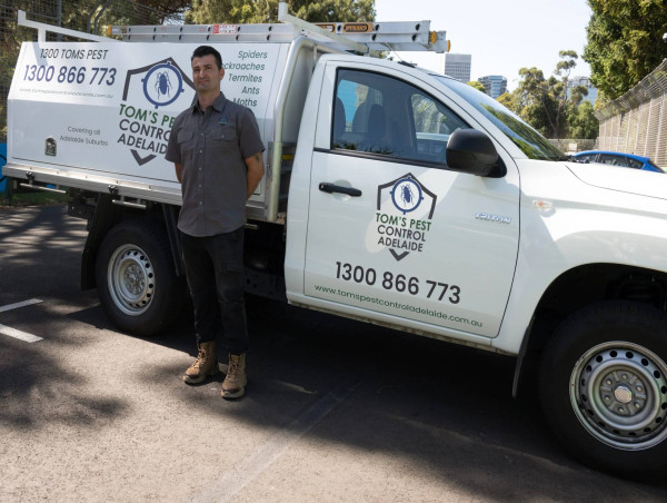 Tom's Pest Control Launches Bird Control Solutions for Adelaide's Self-Storage