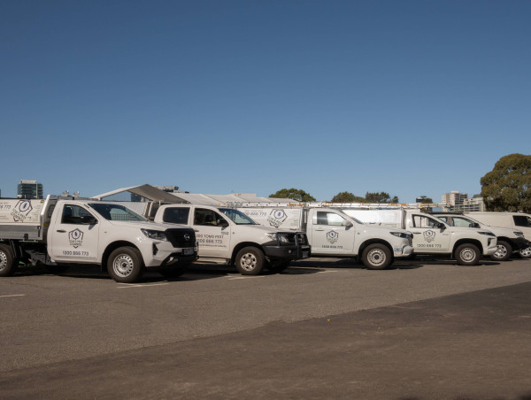 Enhancing Business Operations with Effective Pest Control Solutions in Canberra