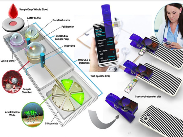 Point of Care (POC) Market Size to Surpass USD 87.9 billion in 2029, exhibiting a 7.7% CAGR by 2030