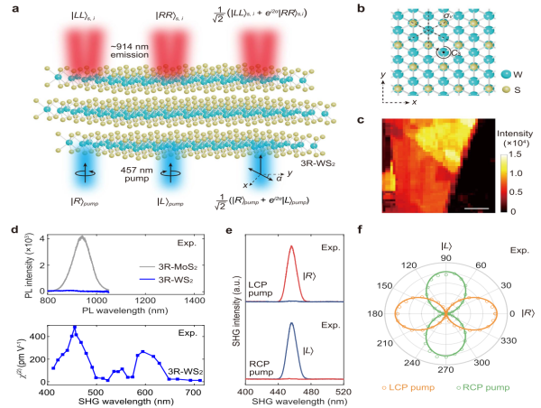  Ultracompact polarization-entangled photon sources for miniaturized quantum devices 