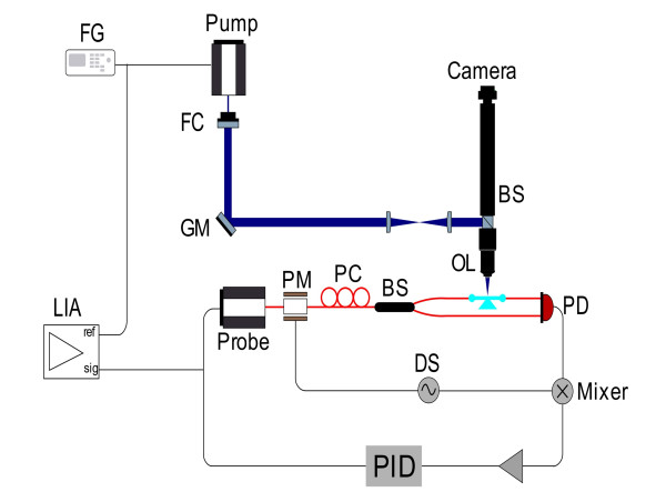 Single 5-nm quantum dot detection via microtoroid resonator photothermal microscopy