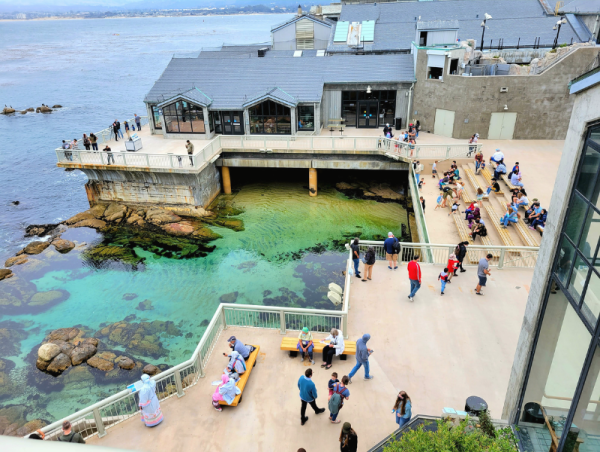 Harrington's Aetna Plastics Fabricates Skimmers for the Monterey Bay Aquarium