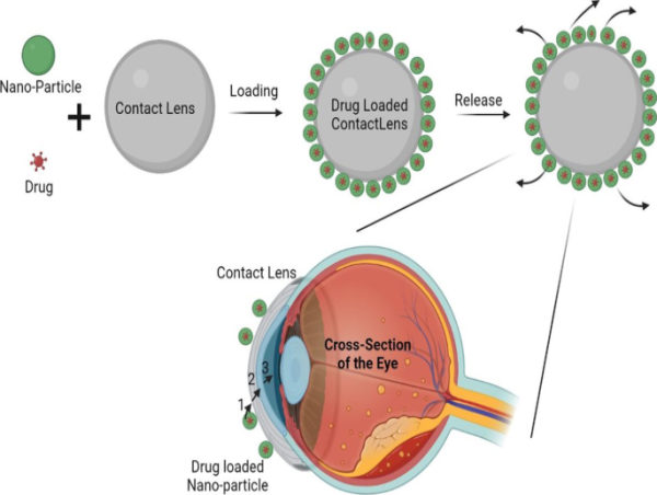 Contact Lenses Market Size to Surpass USD 13.02 billion by 2030, exhibiting a 6.80% CAGR by 2030