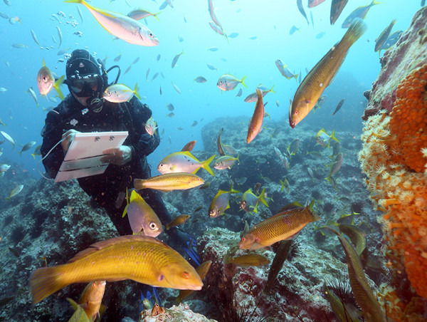  Groundbreaking Expedition in Papua New Guinea's Coral Triangle Uncovers Vital Data for Marine Conservation 