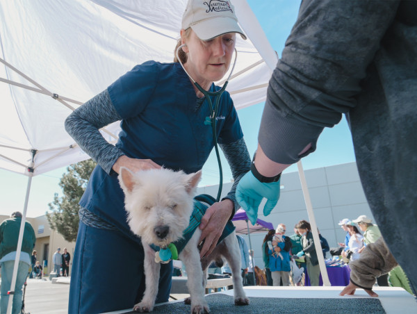  Feeding Pets of the Homeless Seeks Sponsorship for Upcoming Pet Wellness Clinic 