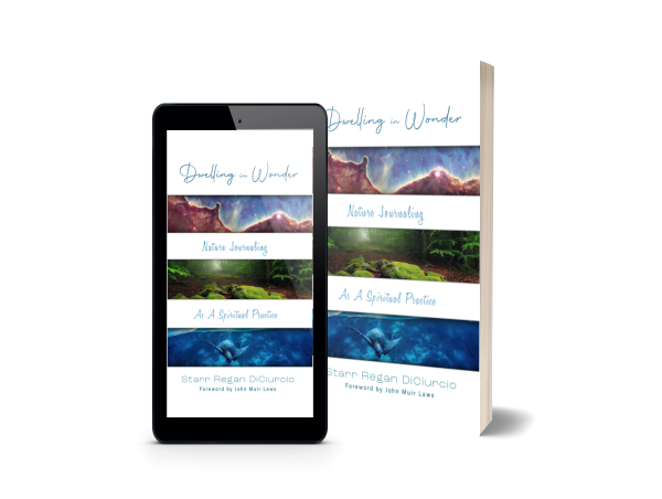Award-Winning Author and Interfaith Minister Starr Regan DiCiurcio Releases Book on Nature Journaling