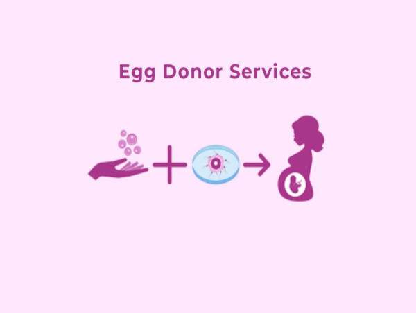 Donor Egg IVF Service Market - Sustainable Growth Ahead with Virtus Health, Monash IVF, Fertility First