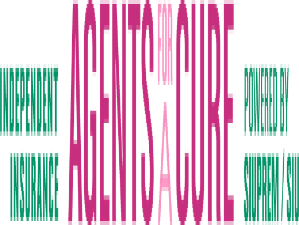 Insurance Agents for A Cure Named Making Strides Atlanta Mission Sponsor