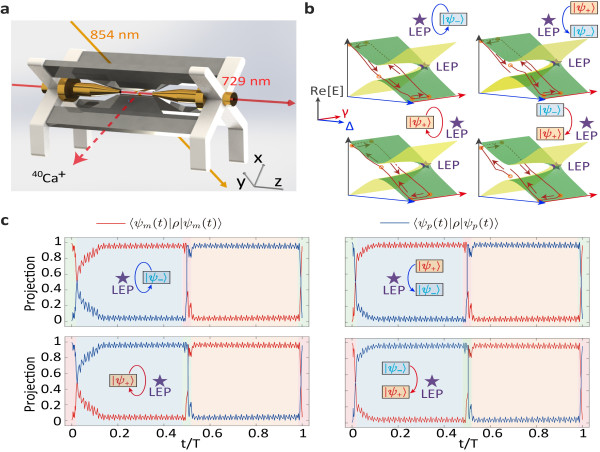 Chiral quantum heating and cooling with an optically controlled ion