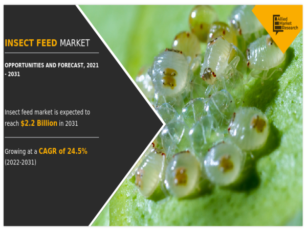 Insect Feed Market to Soar to $2.2 Billion by 2031, Driven by Sustainability and Innovation