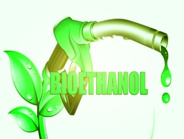 Bioethanol Market Is Booming So Rapidly with Cropenergies, Petrobras, Poet