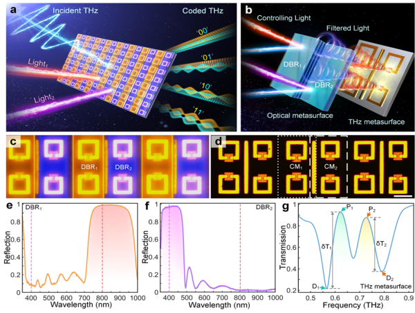 Color Coded Metadevices toward Programmed Terahertz Switching