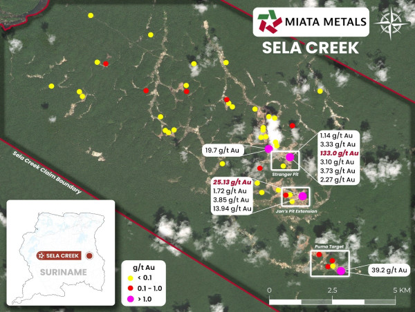 Miata Metals Samples up to 133.25 g/t Gold from Newly Exposed Bedrock on Sela Creek Gold Project in Suriname