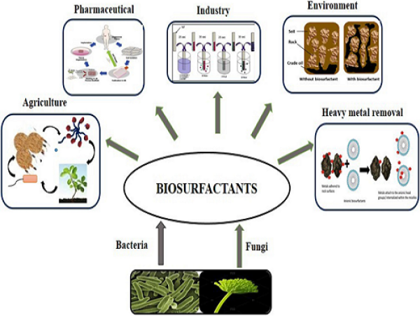  Biosurfactant Market Size Will Hit $3.2 Billion By 2032 | Growth With Recent Trends & Demand 