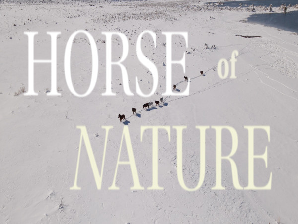  Documentary Film HORSE of NATURE 'Officially Selected' by prestigious EQUUS Film & Arts Festival 