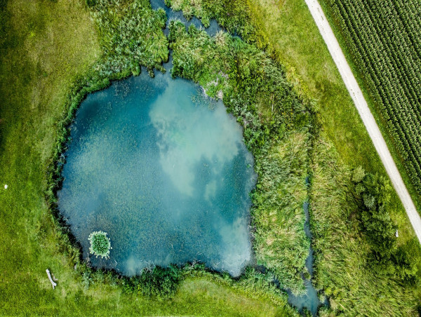 Virginia Pond Management: Fall and Winter are Key Times for Maintenance