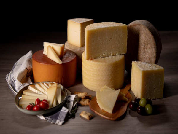  European Sheep Milk Cheeses Make a Breakthrough in the US, according to InLac 