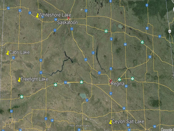  Edison Lithium Files Technical Report for Sodium Brine Properties in Saskatchewan 