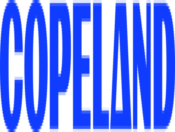  Copeland Appoints New Leader for India, Middle East and Africa 