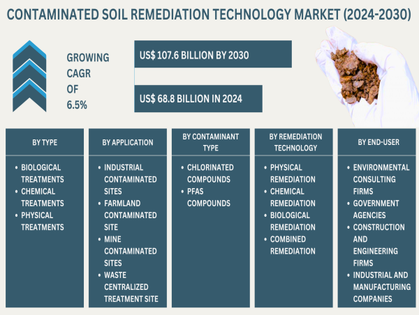  Contaminated Soil Remediation Technology Market, Global Outlook and Forecast 2024-2030 