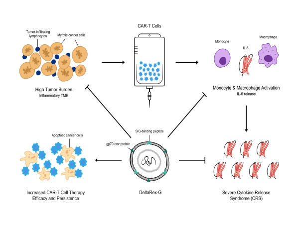 DELTAREX-G FOR CAR-T CELL THERAPY INDUCED CYTOKINE RELEASE SYNDROME