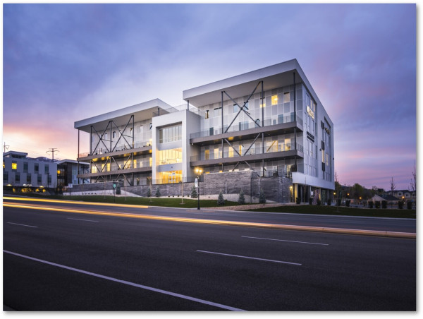 Bold Bull Marketing Expands with New Office in South Jordan, Utah
