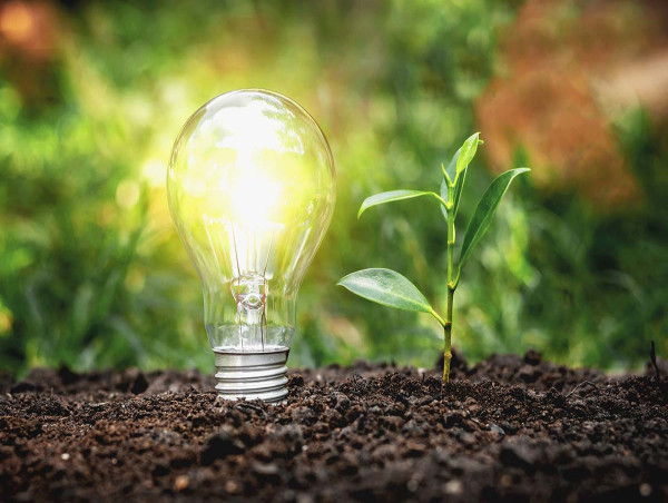Sustainable Bioenergy Market Forecast: USD 220 Bn Growth and Size Trends to 2031 | Cargill, Bp Plc.