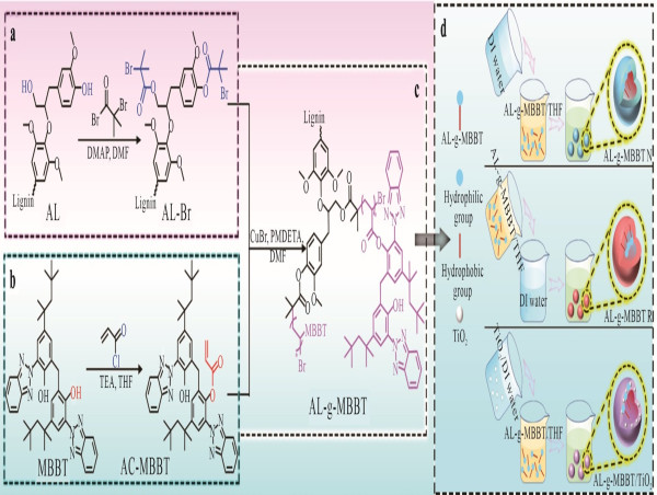  Lignin-Based Sunscreen Offers Natural and High-Performance UV Protection 