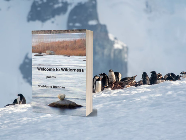  Welcome to Wilderness: Poems by Noel-Anne Brennan's Takes Readers on a Poetic Adventure 