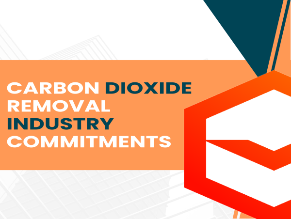  55 Companies Endorse Landmark Standards for Carbon Removal Development 