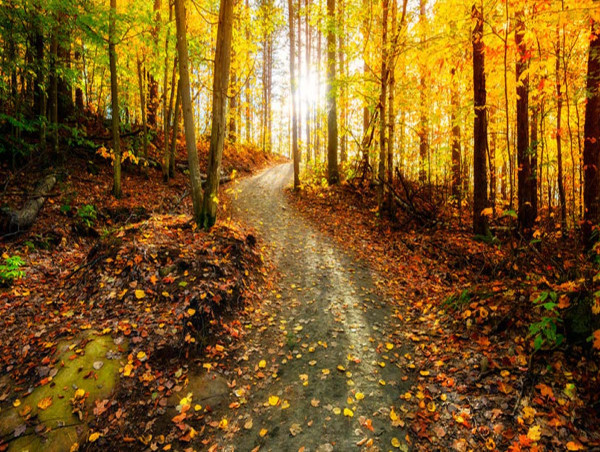 Fall Arrives, and a Story Emerges That Suggests God is a Sports Fan