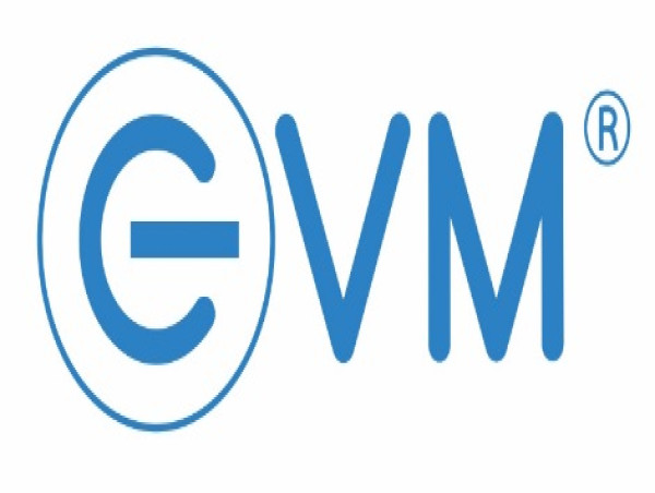 Amidst Foreign Dominance, Indian Brand EVM Emerges as 'Leading SSD Brand of 2023'