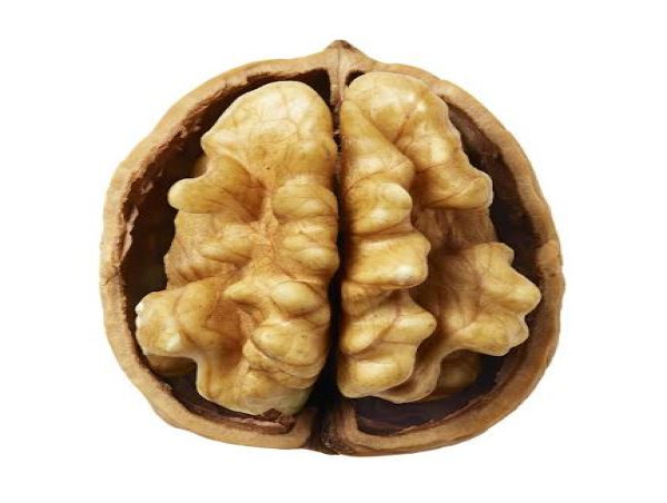 New Spanish Research Demonstrates the Importance of Consuming Foods Rich in Omega-3 to Prevent Alzheimer's Disease