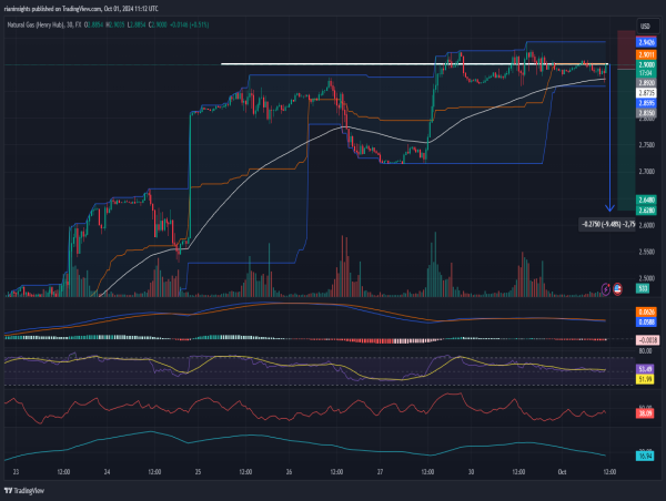  Short Natural Gas: Fails to break above $2.900, bearish momentum strengthens 