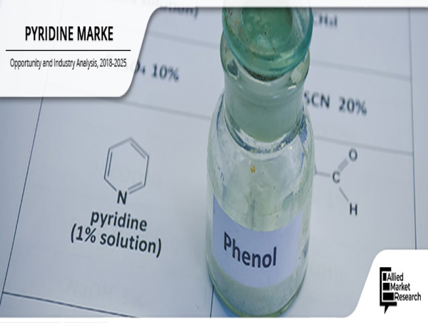  Pyridine Market to Witness Steady Growth in 2024: Market Size and Segmentation