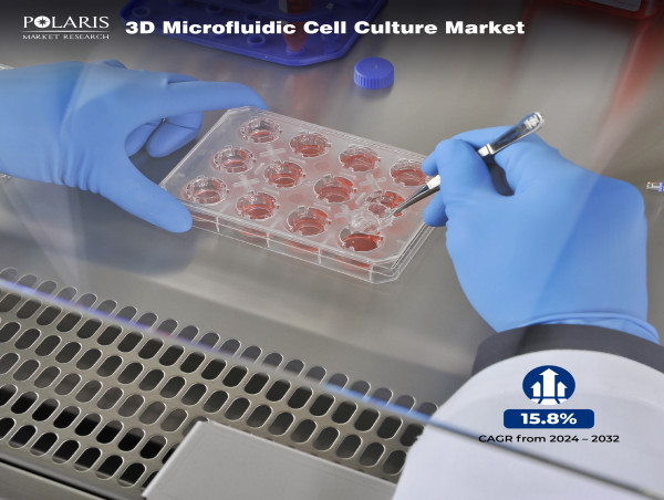 3D Microfluidic Cell Culture Market Size Estimated at USD 393.95 Million, with 15.8% CAGR From 2024-2032 - PMR