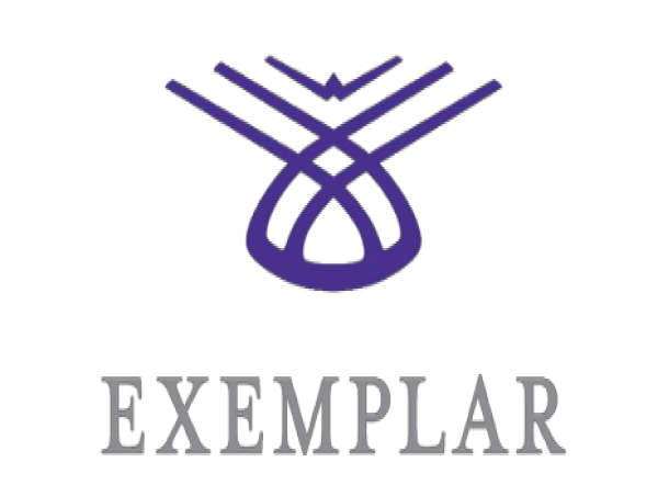  Exemplar Accelerates Growth with Christine Milone Steering New P&C Insurance Practice 