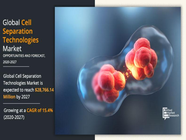 Why Cell Separation Technologies Market Sees Rapid Growth? Explained By Healthcare Experts 